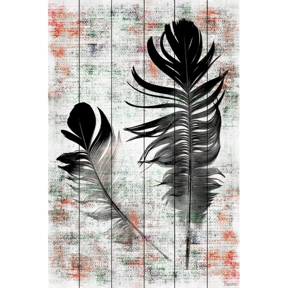Parvez Taj Pt - Wnpw - 145 - Ww - 36, 36" x 24" "Black Feathers" Art Print On White Wood