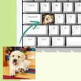 thumbnail image 3 of Custom Keycap Set - Personalized Photo Keycap, Custom Photo Keycaps, Personalized with Photos for Mechanical Keyboards with Cross Cores, 3 of 8