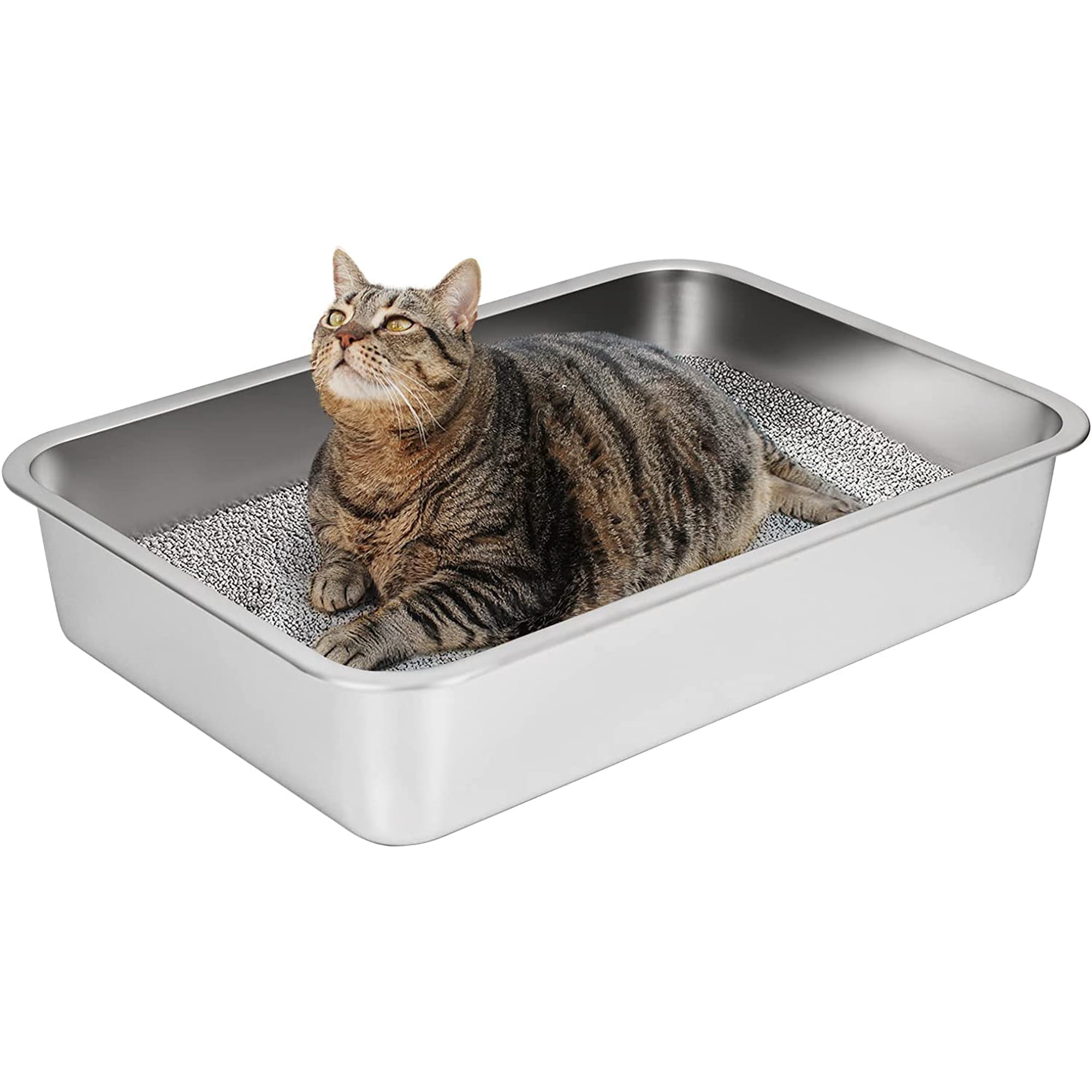 Stainless Steel Cat Litter Box, Large Metal Litter Box, 23.5" Lx15.5 Wx4 H