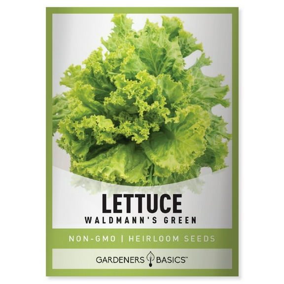 Waldmann's Green Leaf Lettuce Seeds