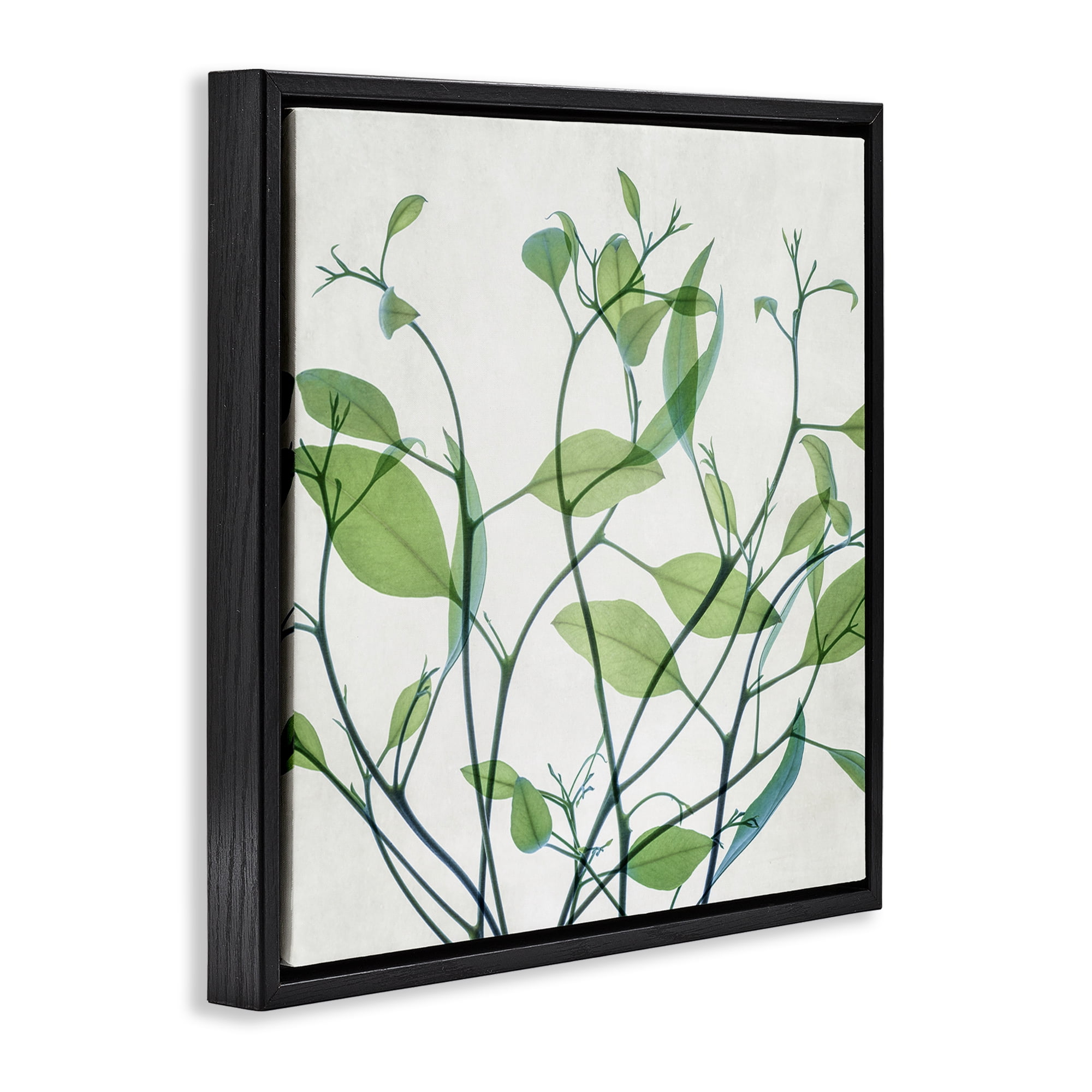 Stupell Industries Twisting Green Vines Botanical & Floral Painting Black Floater Framed Art Print Wall Art, 25 x 25