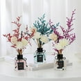 thumbnail image 3 of 50ml Glass Diffuser Plant Rattan Deodorizing Decorative Odor Removal Dry Flower Flameless Aromatherapy Ornament Bathroom Supply, 3 of 10