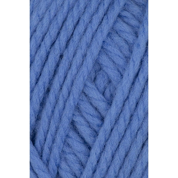 Brown Sheep - Nature Spun Worsted Knitting Yarn - Speckled Robin Egg (# 153)