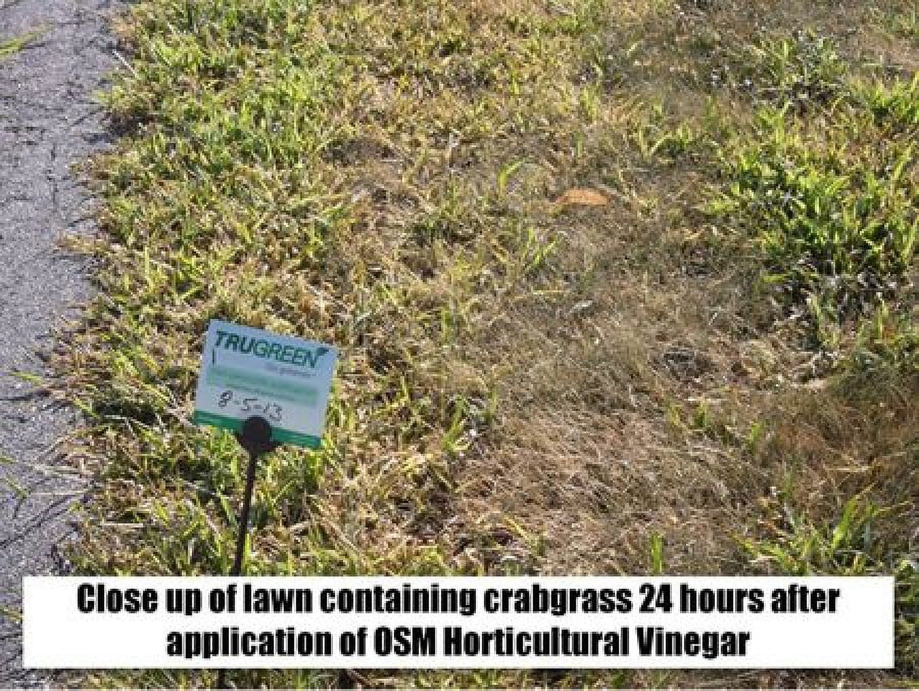 OSM Horticultural Vinegar,1 Gal. 81008201618-5