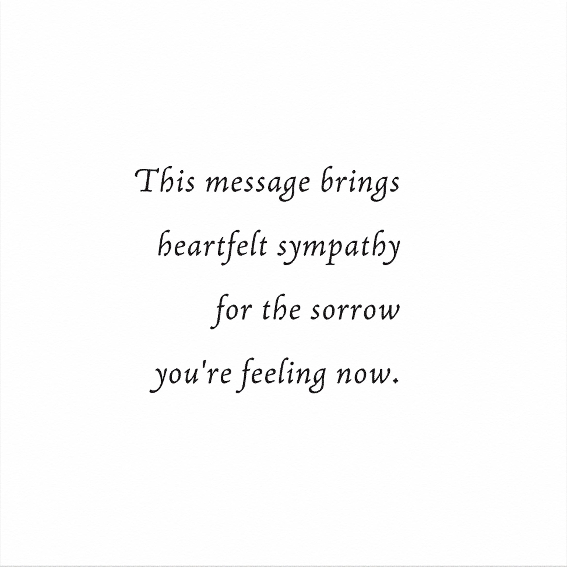 American Greetings Sympathy Card (With Sympathy)