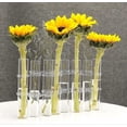 thumbnail image 2 of Hinged Flower Vase,6/8 Hinged Flower Vases Test Tube,hydroponic Plant Vase Transparent Aquatic Plant Display Holder, 2 of 5