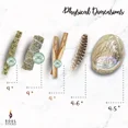 thumbnail image 3 of Ancient Veda Healers Blue Sage Smudge Kit with Smudge Stick, Sweetgrass Braid, 2 Palo Santo Sticks, Abalone Shell, & Feather Kit, 3 of 4