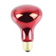 thumbnail image 1 of POINTERTECK 100W Infrared Basking Spot Heat Lamp Bulb Red Light Heat Bulbs for Pet Lizards Snakes Reptiles, 1 of 9