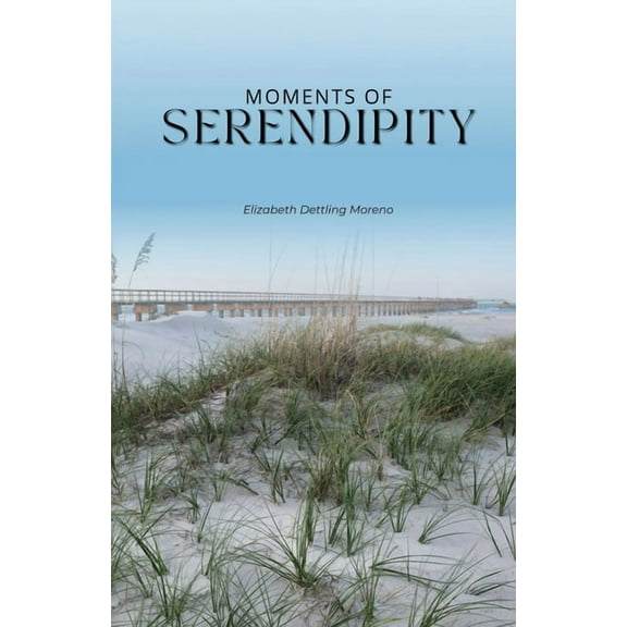 Moments of serendipity, (Paperback)