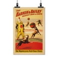 thumbnail image 2 of Print: Barnum & Bailey. The Marvelous Foot-Ball Dogs, 1900, 2 of 4