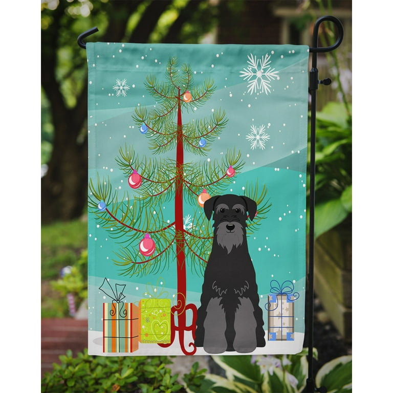 Caroline's Treasures CK2485GCA7P Christmas Lights Schnauzer Greeting Cards  and Envelopes Pack of 8 Blank Cards with Envelopes Whimsical A7 Size 5x7  Blank Note Cards - Yahoo Shopping