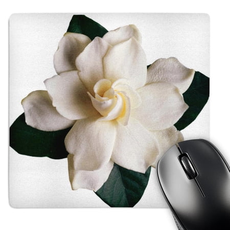 3dRose  Gardenia  MousePad price history on PriceWatchPro