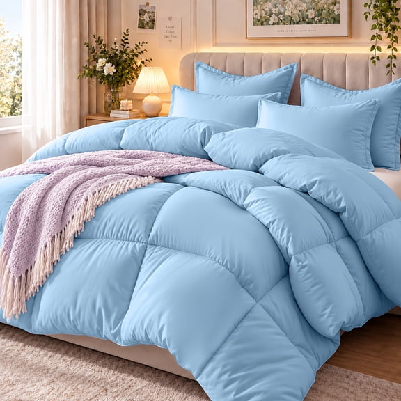 2Pcs Twin Quilted Comforter Set