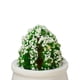thumbnail image 4 of Jarrón de micro paisaje Macarena modelo de jarrón micropaisaje, 4 of 5