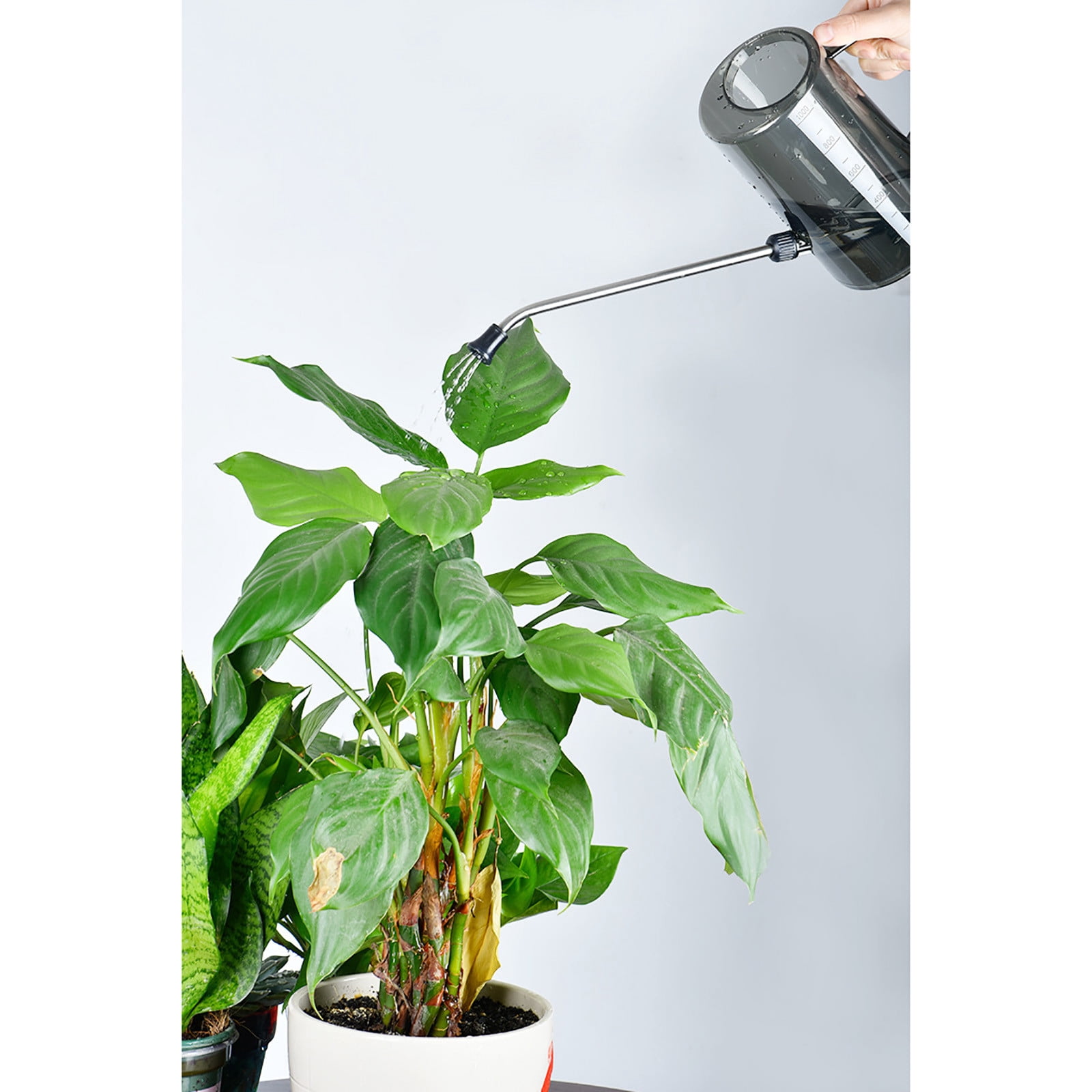 JilgTeok 4 Packs 1L Long Spout Watering Can for Plants Plastic Garden Watering Bottle for Indoor & Outdoor Flowers, Lightweight Handheld Watering Pot for Houseplants