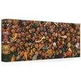 thumbnail image 2 of Kurt Shaffer Photographs 'Three-Dollar Pumpkin Abstract' Canvas Art, 2 of 4