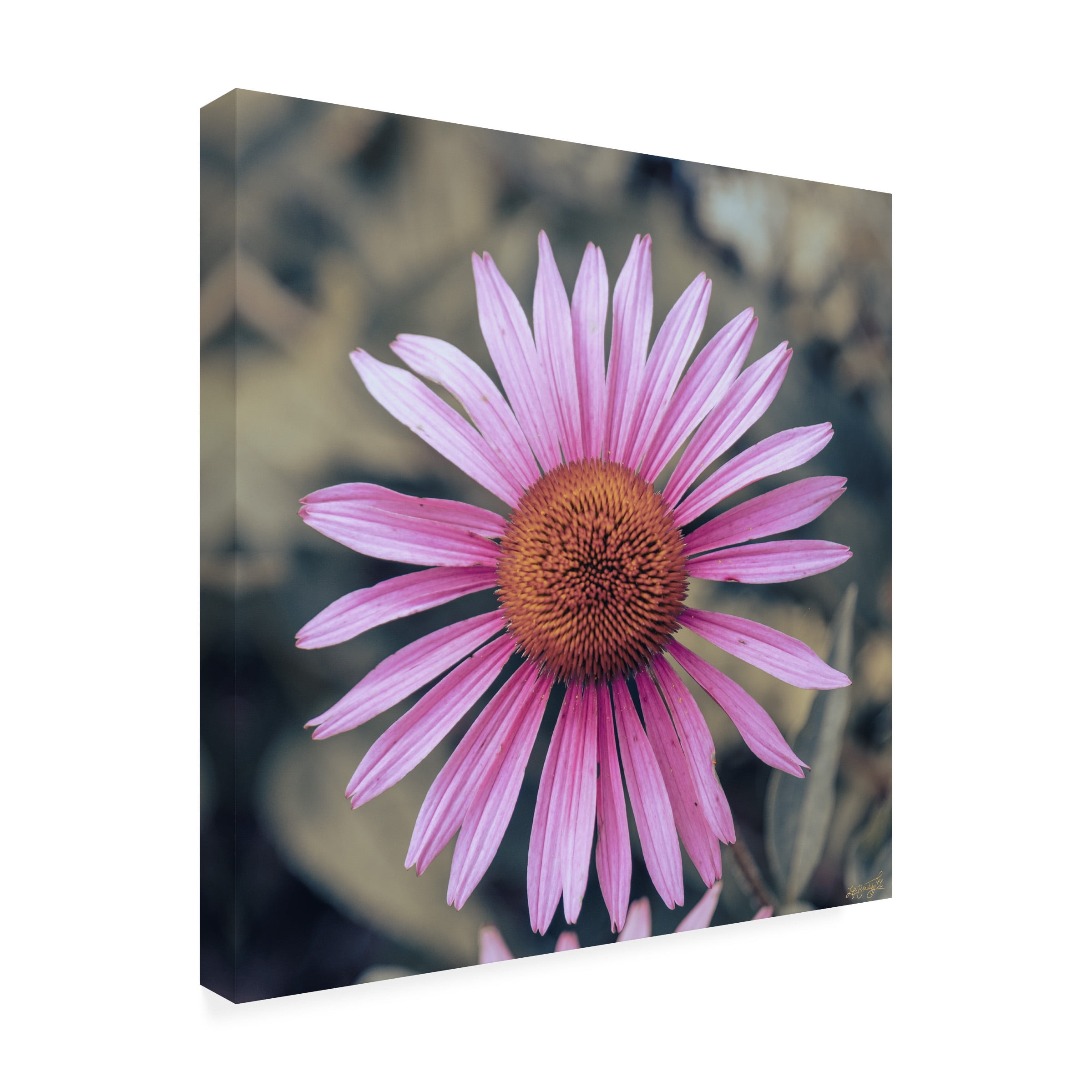 Canvas Wall Art - Life BeautifuLEE 'Little Lady Flower 1' Wall Art for Living Room, Bedroom, or Office Décor by Trademark Fine Art - 35 x 35 Inches - 35x35