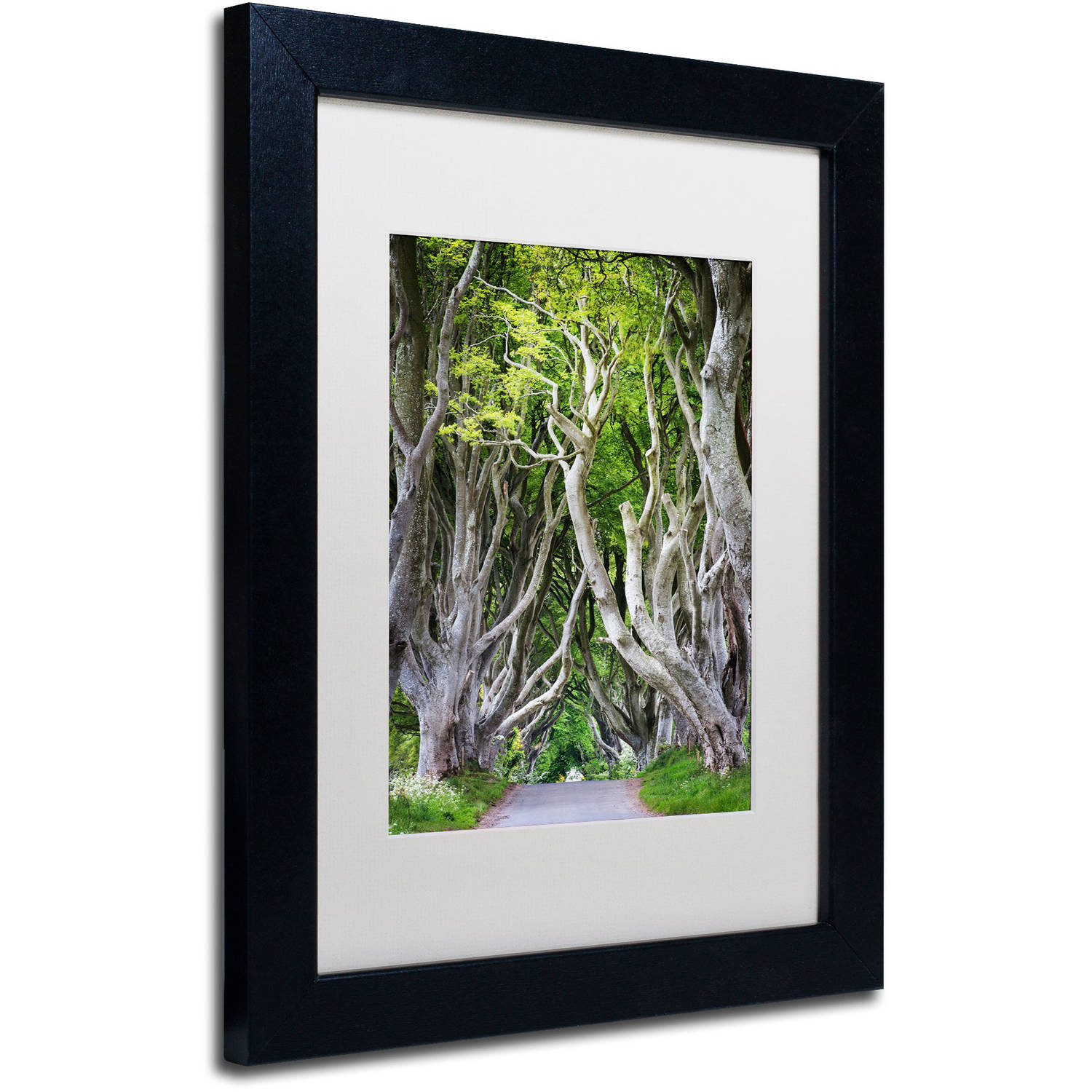 Trademark Fine Art "Down There" Canvas Art by Philippe Sainte-Laudy, White Matte, Black Frame