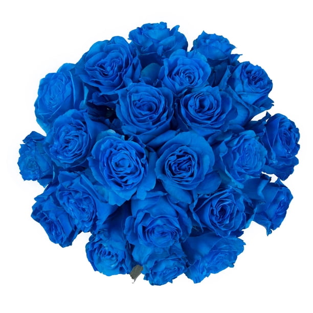 Tinted Blue Roses - 75 Stems for Office by Bloomingmore - Walmart