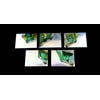 1995 Fleer Reboot Holoblast Trading Cards Set (5) NM/MT