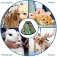 thumbnail image 4 of Funny Vehicles Soft Cat Dog Recovery Collar Adjustable Cat Cone Wound Healing Protective After Surgery for Puppy, 4 of 7