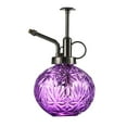 thumbnail image 1 of Embossed Snowflake Glass Watering Can Indoor Sprinkler Sprayer for Home Gardening, 1 of 3