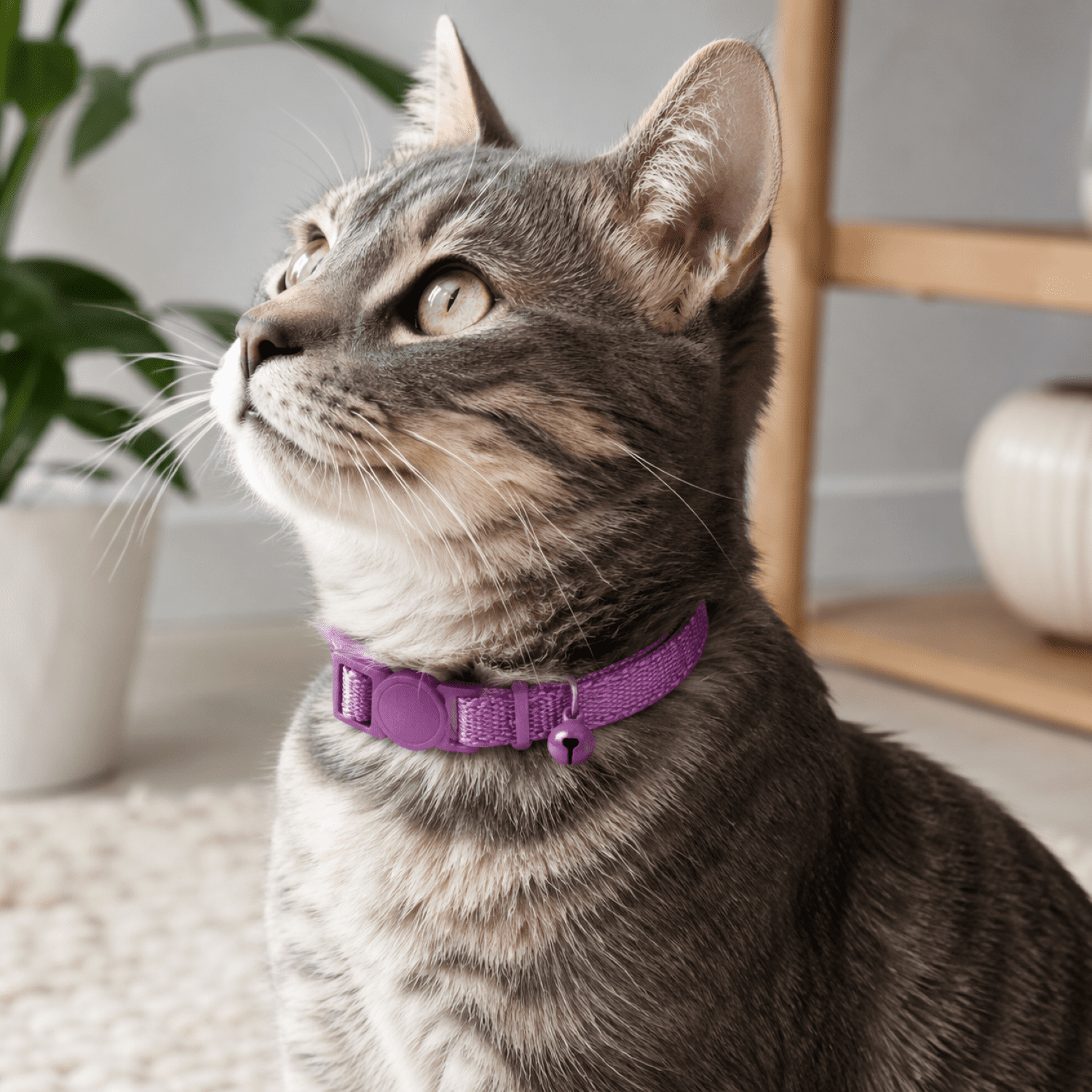 Vibrant Life Break-Away Adjustable Cat Collar, Lilac