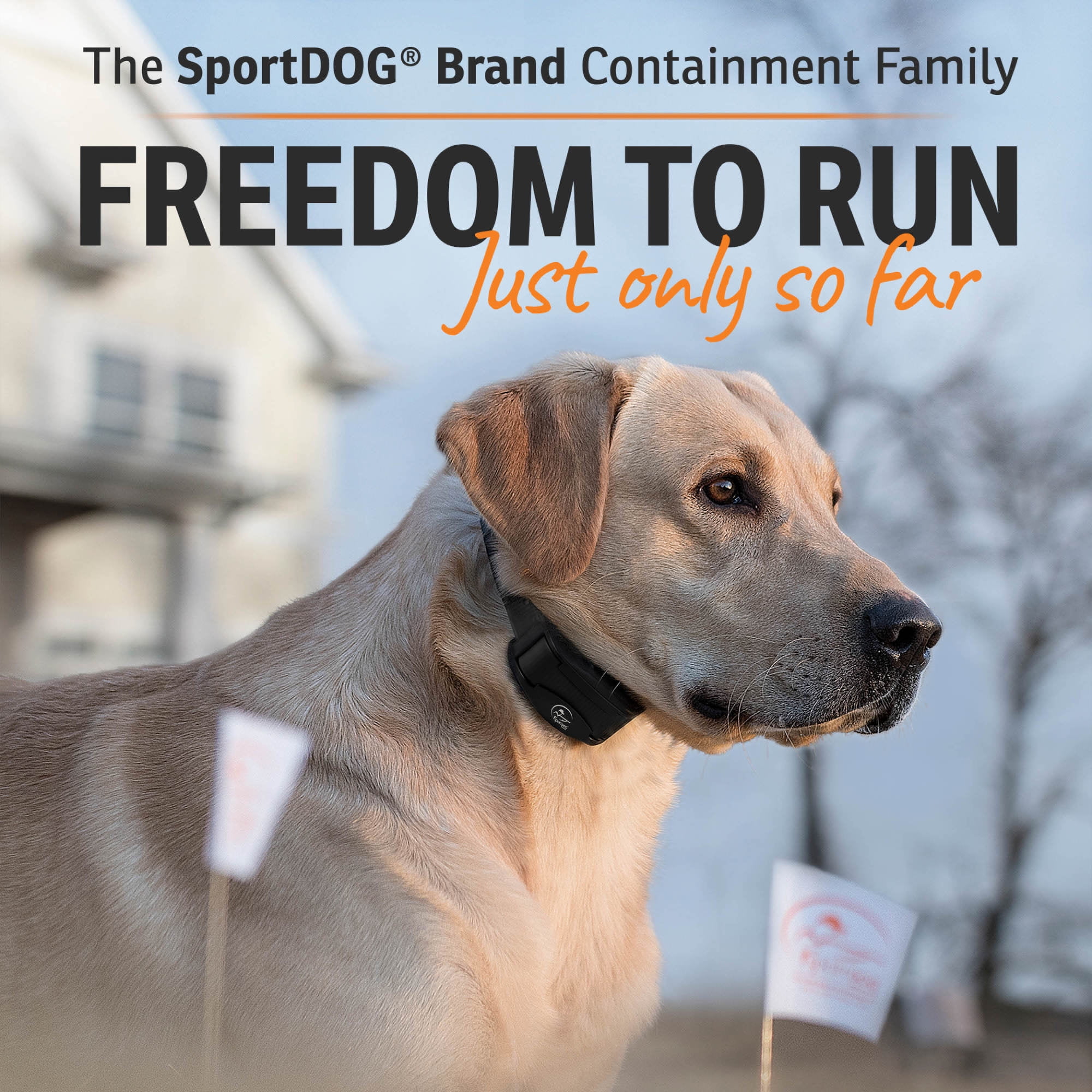 SportDOG Brand Rechargeable In-Ground Fence - Underground Wire Electric Dog Fence - Tone, Vibration, & Static - 100 Acre Capability