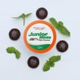 Junior Mints Chocolate Mint Flavored Hot Cocoa Pods,, 40 Ct