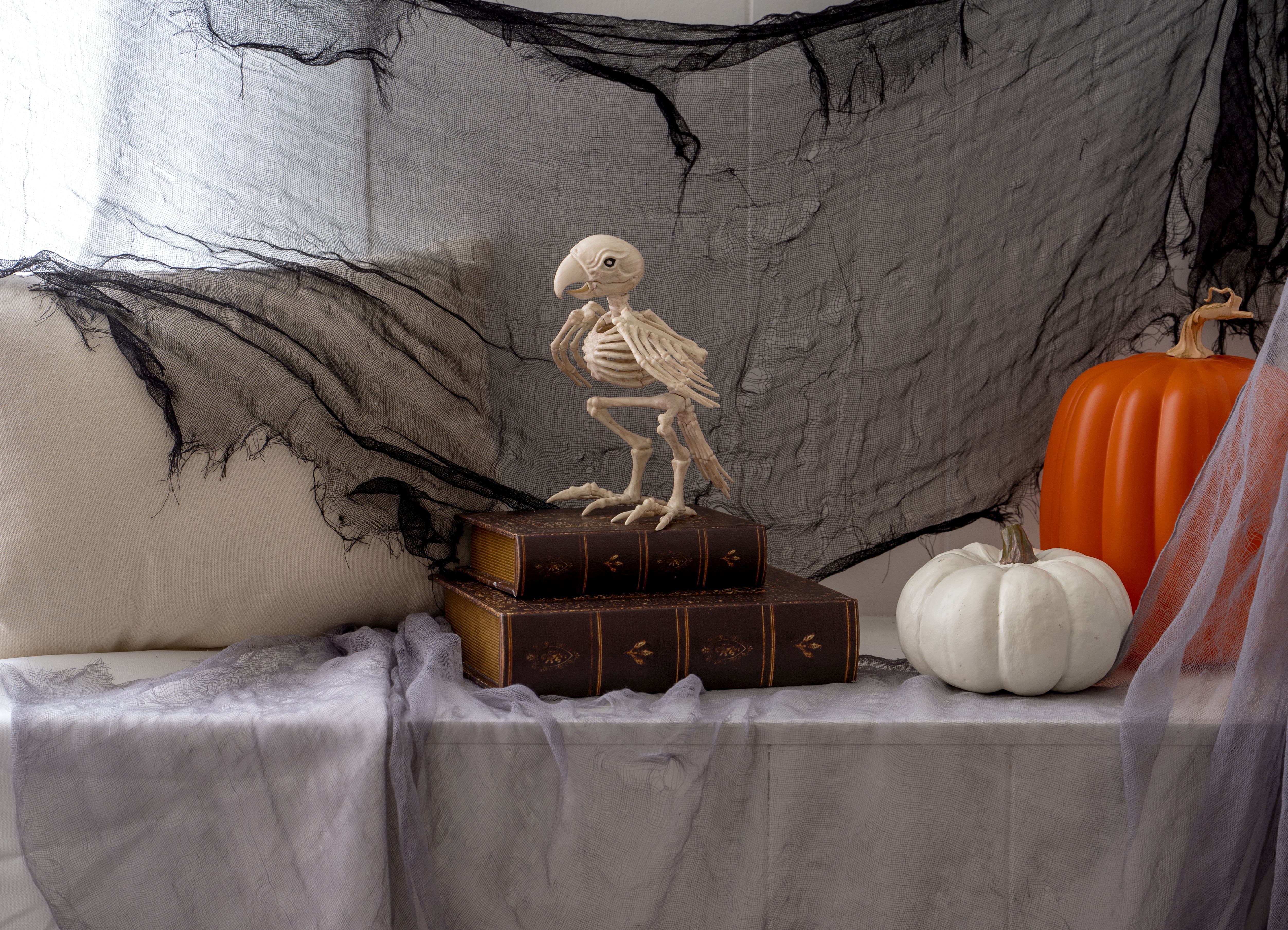Official Crazybonez Faux Parrot Skeleton