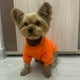 thumbnail image 5 of Small Dog Clothes Winter Pet Hoodie Puppy Cat Coat Jacket French Bulldog Chihuahua Yorkie Costume Pug Outfits Pets Supplies, 5 of 5
