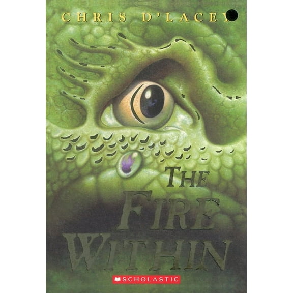 The Fire Within (Paperback)