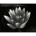 thumbnail image 3 of Geyman, Vitaly 14x12 Black Modern Framed Museum Art Print Titled - Glowing Lotus II, 3 of 5