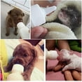 thumbnail image 4 of Kits De Biberones Para Mascotas JAMW Biberón Para Gatitos Recién Nacidos Sencillez, 4 of 4