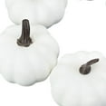 thumbnail image 4 of Modelo de Calabazas Falsas Macarena 6 piezas Calabazas Falsas, 4 of 5