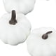 thumbnail image 4 of Modelo de calabazas artificiales, 6 uds., verduras artificiales, bonitas calabazas artificiales rústicas DIY para Halloween, chimenea, tienda, adorno Estilo A, 4 of 5