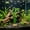 Green 1Pcs, variant on Tuscom 1Pcs Purple Artificial Seaweed Aquarium Decor, Plastic Kelp Fish Tank Plant, Lifelike Fake Seaweed Ornament, Soft Water Weed Hideout for Breeding, Underwater Landscape
