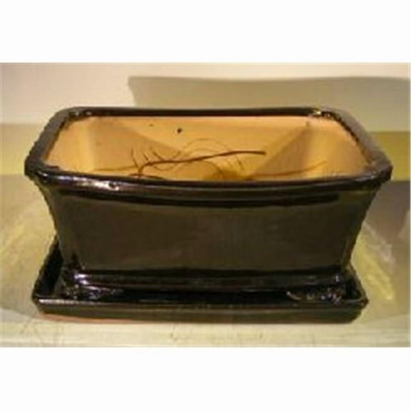 Bonsai Boy L250b 10 x 9 x 4.5 in. Ceramic Bonsai Pot, Black- Rectangle