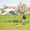 19.48' L x 9.64' W x 6.36' H, variant on Large Metal Chicken Coop Walk-in Poultry Cage Hen Run House Duck House Rabbits Habitat Cage Spire Shaped Coop with Waterproof and Anti-Ultraviolet Cover for Outdoor Farm Use