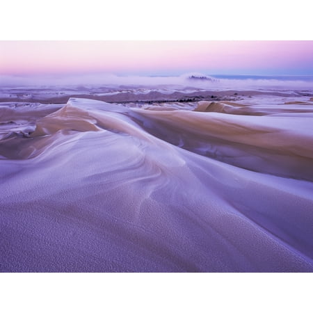 Posterazzi Winter carves and decorates the Umpqua Dunes Oregon Dunes National Recreation Area Lakeside Oregon United States of America Canvas Art - Robert L Potts Design Pics (36 x 26)