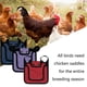 thumbnail image 4 of Bearachild Monturas de pollo con correa ajustable Protector de alas de montura de para espalda y costados Juegos de accesorios de baño No.1 Bearachild HA044940-01, 4 of 6