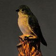thumbnail image 2 of LCXmlly Welcome Sign Garland Vivid Lawn Lamp Resin Bird Sculpture LED Solar Landscape Light (Bright Color Decorative), 2 of 6