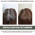 thumbnail image 5 of Centella Asiatica Sea Salt Shampoo F -, 5 of 5