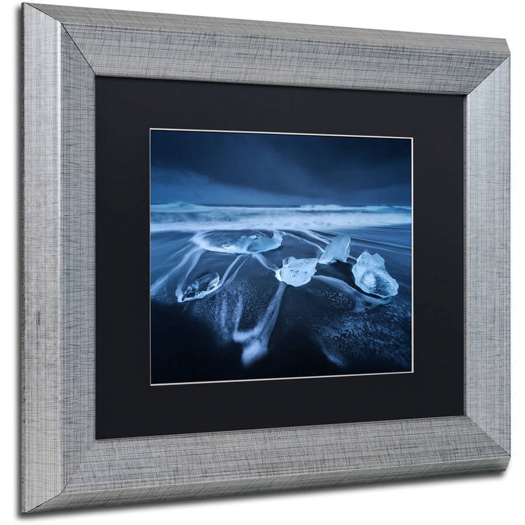 Trademark Fine Art "The Ice Age" Canvas Art by Mathieu Rivrin, Black Matte, Silver Frame
