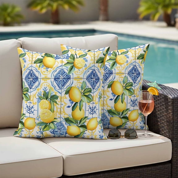 Botanical Lemon Outdoor Pillow Covers 24x24 Inch Throw Pillow Covers Set of 2 Waterproof Decorative Pillow Cases Spring Countryside Floral Blue Tile Cushion Covers for Patio Furniture Garden Couch