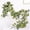 Green-D, variant on feimajia Garland Artificial Ivy Garland Fake Hanging Vines Fake Ivy Leaves Table Decor Green Hanging Vines Decor Artificial Vines Plants
