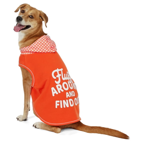 Vibrant Life Spring Pet Hoodie for Dogs, Fluff Around and Find Out, Orange, L