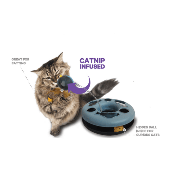 aspca cat toys