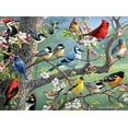 thumbnail image 4 of Buffalo Games - Hautman Brothers - Birds in an Orchard - 1000 Piece Jigsaw Puzzle, 4 of 6