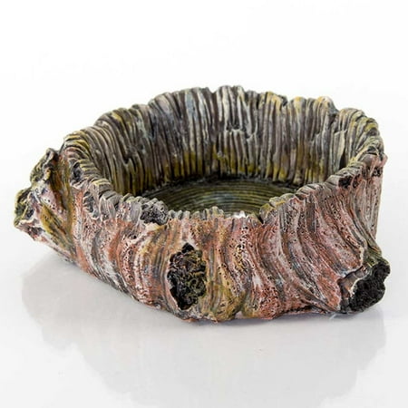 BioBubble Decorative Stump Bowl, Large, 3.75